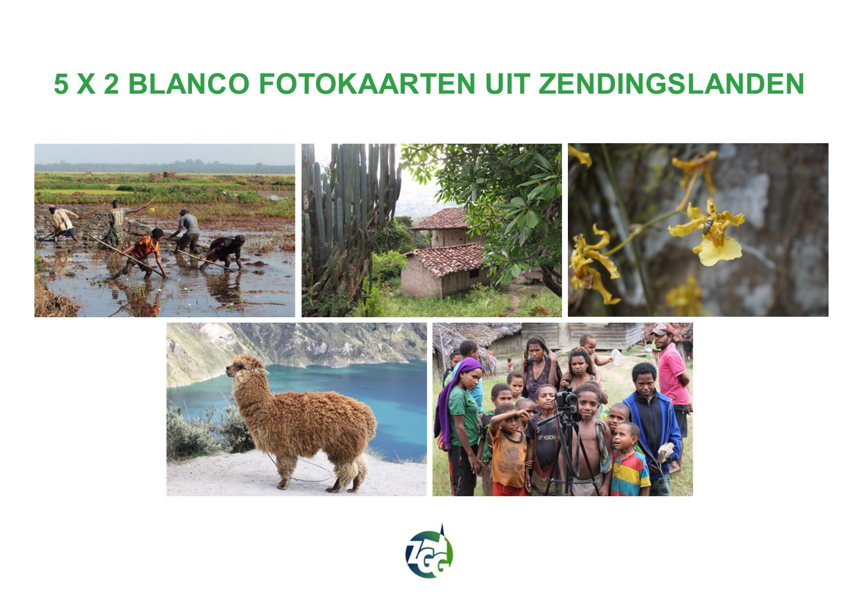 Set van 10 fotokaarten